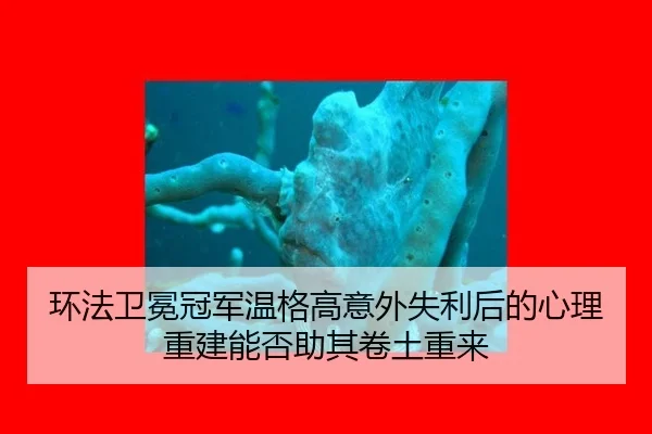 huan-fa-wei-mian-guan-jun-wen-ge-gao-yi-wai-shi-li-hou-de-xin-li-chong-jian-neng-fou-zhu-qi-juan-tu-chong-lai-3-486.jpg