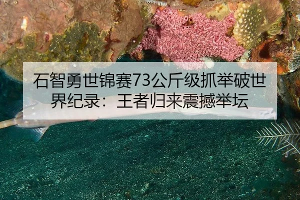 shi-zhi-yong-shi-jin-sai-gong-jin-ji-zhua-ju-po-shi-jie-ji-lu-wang-zhe-gui-lai-zhen-han-ju-tan-2-297.jpg