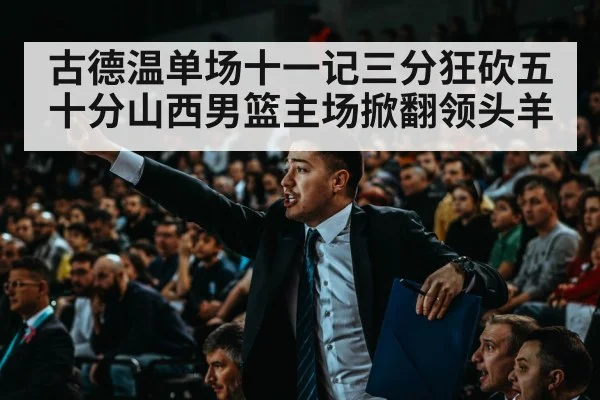 Chinese basketball arena crowd